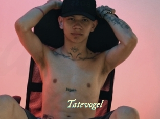 Tatevogel