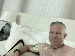 Tiger_18