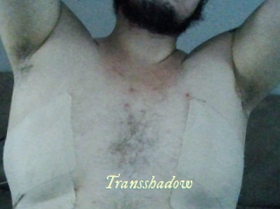 Transshadow