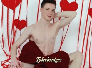 Tylerbridges