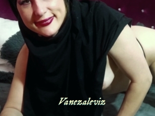 Vanezaleviz