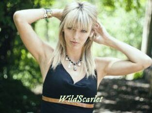 WildScarlet